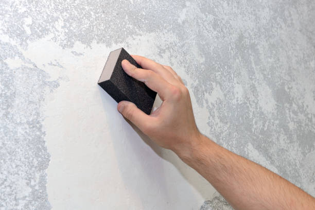Best Biohazard Mold Removal  in New Deal, TX