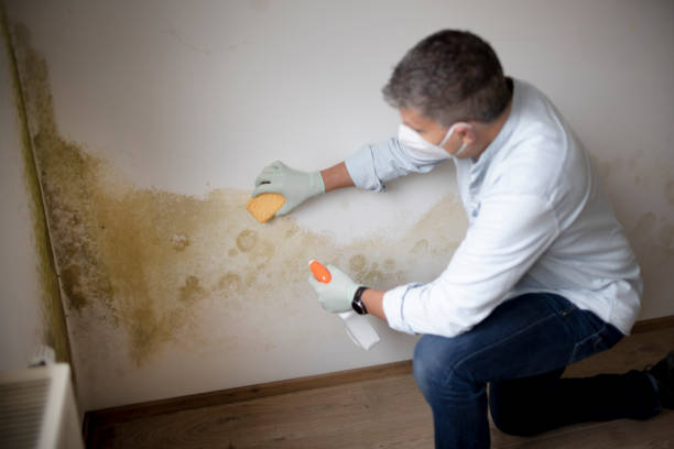 Best Dehumidification Services  in New Deal, TX