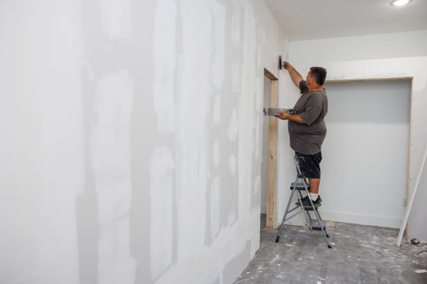 Reliable New Deal, TX Mold Removal Solutions