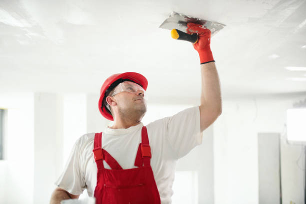 Best Crawl Space Mold Remediation  in New Deal, TX