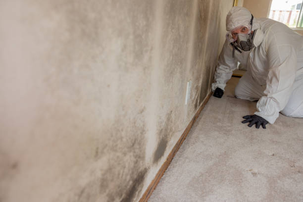Best Airborne Mold Testing  in New Deal, TX